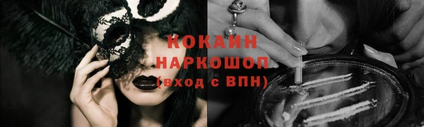 крисы Абаза