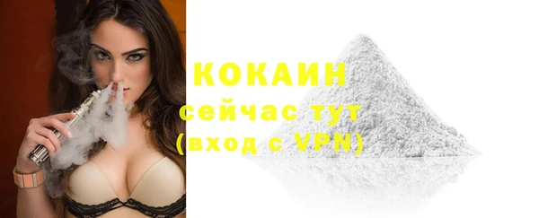 крисы Абаза