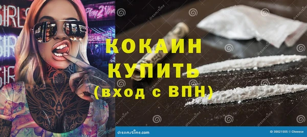 крисы Абаза