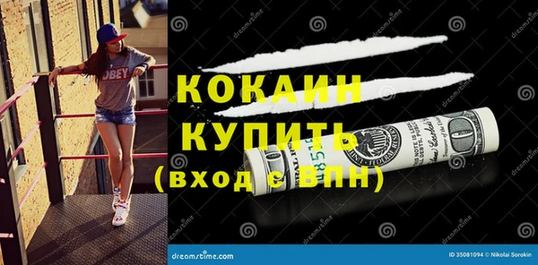 крисы Абаза