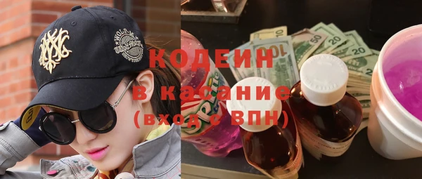 крисы Абаза
