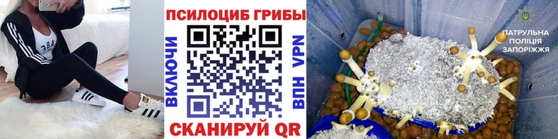 Псилоцибиновые грибы MAGIC MUSHROOMS ссылка на мегу как зайти Фрязино