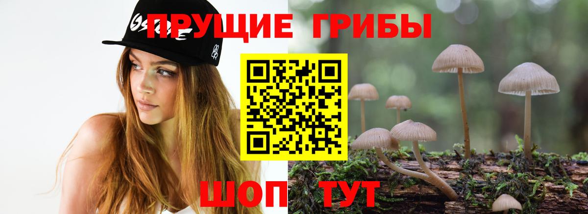 Галлюциногенные грибы MAGIC MUSHROOMS Фрязино
